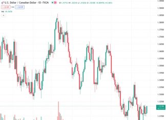According to Scotiabank, there doesn’t seem to be much potential for the Canadian dollar to decrease significantly, despite its current exchange rate of 1.32191 against the US dollar.