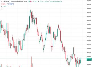 The US dollar’s strength is backing the USDCAD pair, which is currently trading at approximately 1.3225, representing a 0.02% increase throughout the day.