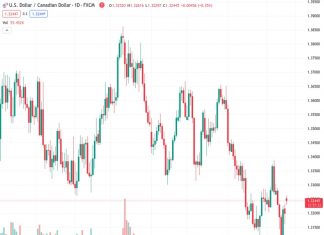 The most important factor in the near future for the USDCAD currency pair at a rate of 1.32442 is expected to be economic data and how it will affect the market, according to Scotiabank.