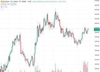 The upward trend in the price of gold, which reached $1,982, slowed down and lost momentum, currently standing at $1,975.32.