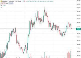 The price of gold, currently at 1,947.11 in XAUUSD, is recovering from a significant drop, the largest in two months. This decline was influenced by a stronger US Dollar. According to the perspective of @nehcap, it is anticipated that there will be more downward movement in the future.