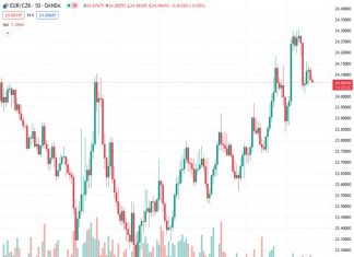 Commerzbank predicts that there is a higher chance of the Koruna (Czech currency) losing value in 2024, with the EURCZK exchange rate currently at 24.0599.