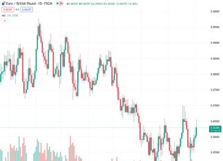 The EURGBP is predicted to move towards the 0.88 region later in the year, according to ING.