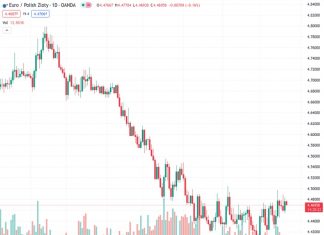 Commerzbank expects the EURPLN currency pair, currently trading at 4.46920, to increase and reach a level of 4.75 in the future.