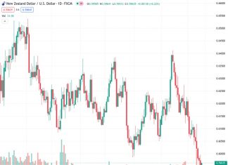The currency pair NZDUSD, currently trading at 0.59623, is bouncing back from its lowest level of the year, despite the Reserve Bank of New Zealand (RBNZ) deciding not to change their monetary policy.