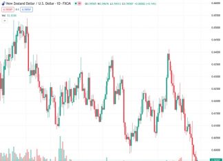 The NZDUSD pair bounces back after reaching a new low for the year following the Reserve Bank of New Zealand’s optimistic stance.