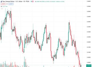 MUFG predicts that there are potential risks to the downside for the NZDUSD currency pair in the near future, as well as in the year 2024.