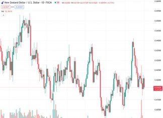 The NZDUSD pair, which is currently at 0.61607, encountered a new level of selling interest on Tuesday and is being influenced by multiple factors that are putting downward pressure on it.