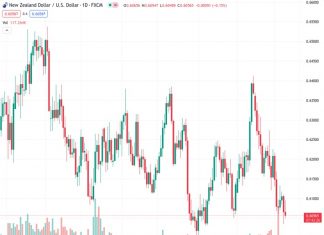 CIBC notes that the factors that are expected to strongly influence the New Zealand dollar are aligning, potentially leading to a surge in its value.