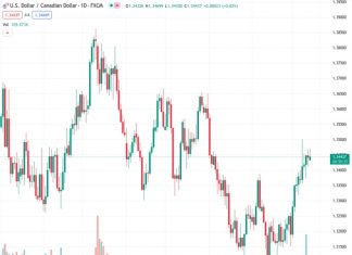 The Canadian dollar appears to be undervalued and should have a higher exchange rate than its current value, according to Scotiabank.