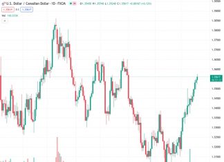 RBC Economics suggests that the future path of the USDCAD at 1.35579 appears to be unclear in the coming weeks.