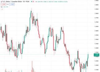The currency pair USDCAD, currently trading at 1.33320, increased to around 1.3340, showing an increase of over 0.40% for the day.