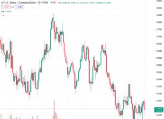 The USDCAD currency pair is currently trading at 1.31970, and it is showing increased momentum around the 1.3195 level, with a 0.04% increase on Tuesday.