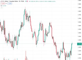 The USDCAD currency pair remains above the level of 1.3350 as it awaits important employment data from both the United States and Canada.