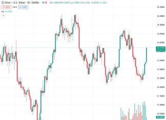 Silver price rises above $24.00 following the release of disappointing preliminary PMI data for August by S&P Global.
