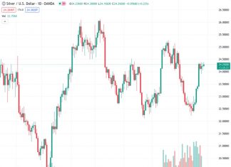 Silver rebounded on Tuesday, but its upward momentum was not sustained.