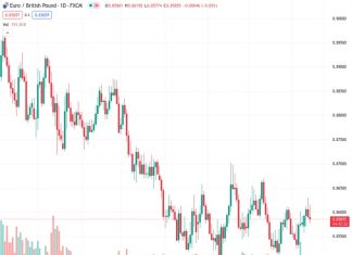 The Euro experienced a decline following the European Central Bank’s inability to boost confidence in investors with a 0.25% increase in interest rates.