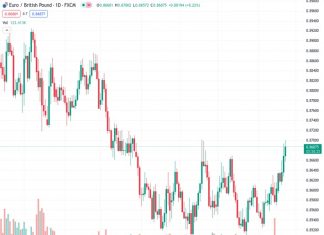 Rabobank believes that there is a possibility for the EURGBP pair to fall to 0.85 in the next three to six months.