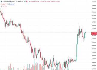 ING predicts that the Zloty will experience increased volatility rather than a clear direction against the Euro, as evidenced by the current exchange rate of 4.63557.