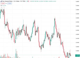 NZDUSD is maintaining its position above 0.5950 following the release of moderate economic data from the US.