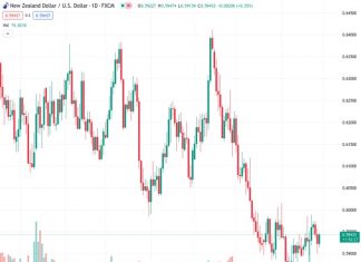 The upcoming RBNZ meeting is the next important step in the unpredictable path for NZDUSD, according to ANZ.