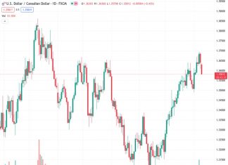 Despite a small improvement in the US Dollar, the USDCAD exchange rate has fallen below 1.3600.