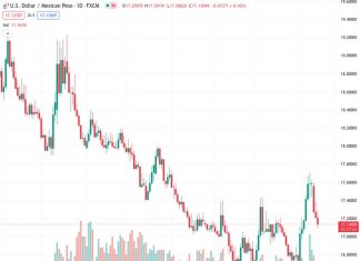 The US dollar to Mexican peso exchange rate, currently at 17.1337, is now at 17.1200, experiencing a decrease of 0.53%. This movement occurred after the US Consumer Price Index (CPI) for August was slightly higher than the expected forecast of 3.6%.