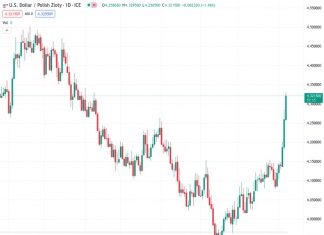 The Polish central bank’s decision to lower interest rates at a rate beyond expectations has sparked criticism.