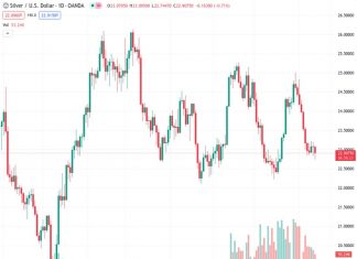 The price of silver, as represented by #XAGUSD, exhibited unpredictable fluctuations due to the persistently high inflation in the United States during August.