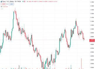 Euro sheds weight as ECB cautions about risks to disinflation process.