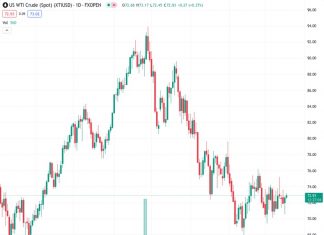 IEA: 2024 world oil demand growth forecast raised by 180k bpd