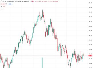 Crude Oil markets pushed into a new high for the week before settling back on Friday. (Pivot Orderbook analysis)