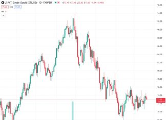 WTI Oil prices remain under some selling pressure for the second straight day on Monday. (Pivot Orderbook analysis)