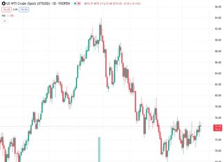 Middle East tensions, Red Sea risks continue to prop up Crude Oil. (Pivot Orderbook analysis)