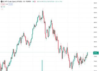 Canadian Dollar extended declines after US PMIs cast a long shadow.