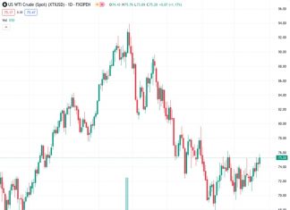 Energy markets bid up Crude Oil after US supplies declined more than expected. (Pivot Orderbook analysis)