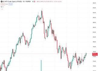 WTI drops to $75.15 amid the modest recovery in the US Dollar. (Pivot Orderbook analysis)