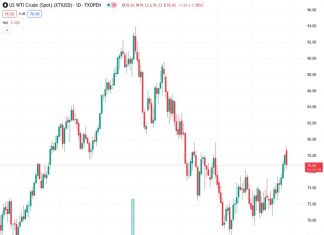 WTI oil drops over 1.50%, affected by China’s property sector woes and a robust US Dollar. (Pivot Orderbook analysis)