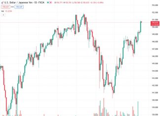 Japan’s Suzuki: Rapid FX moves are undesirable