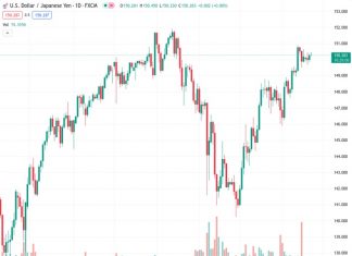 Japan’s Suzuki: Closely watching FX moves with a high sense of urgency
