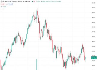 WTI crude rises 0.87% to $73.51, lifted by a weaker US Dollar and lower US oil production forecasts. (Pivot Orderbook analysis)