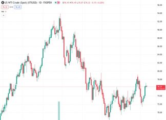 WTI price edges lower after Israel’s series of strikes in Gaza’s southern city of Rafah. (Pivot Orderbook analysis)