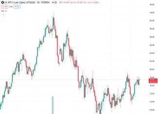 WTI recovers to $77.50 on the weaker of the US Dollar. (Pivot Orderbook analysis)