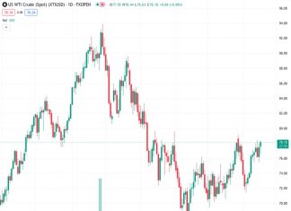 Crude Oil markets are betting on seasonal demand increases to offset supply builds. (Pivot Orderbook analysis)