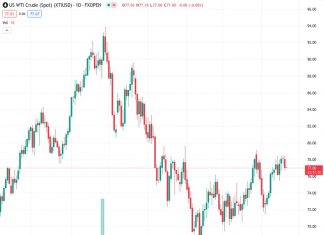 WTI edges lower to $77.10 after reaching a three-month high last week. (Pivot Orderbook analysis)