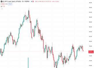 WTI Oil tests at an important level to more downturn.