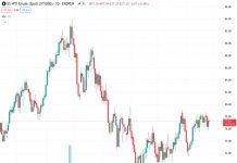 WTI received support over concerns about supply disruptions between Europe and Asia. (Pivot Orderbook analysis)