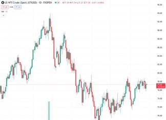 WTI received support over concerns about supply disruptions between Europe and Asia. (Pivot Orderbook analysis)