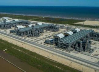 Biden LNG pause poses major risk, says CEO of the U.S. exporter