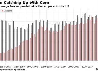 In 2024, Americans will plant more corn than soybeans — as they have for over a century in most years — and a green diesel boom could dethrone that old adage that US farmers like to plant corn. There are already companies including Cargill Inc. and Bunge Global SA planning to expand capacity to 86.5 million acres — according to the median average of analyst estimates compiled by Bloomberg before the US Department of Agriculture’s projected corn acreage – reports — on Thursday.